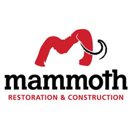 Mammoth Custom Logo